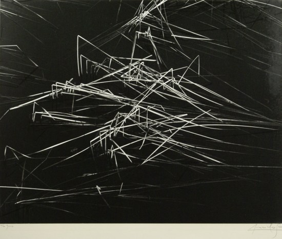 lucien_clergue_camargue joncs