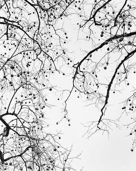 Vanessa_Winship-Georgia1