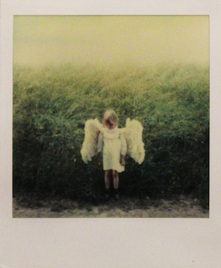 sibylle_bergemann_die_polaroids