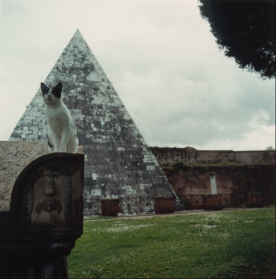 ute mahler-On the traces of Goethe