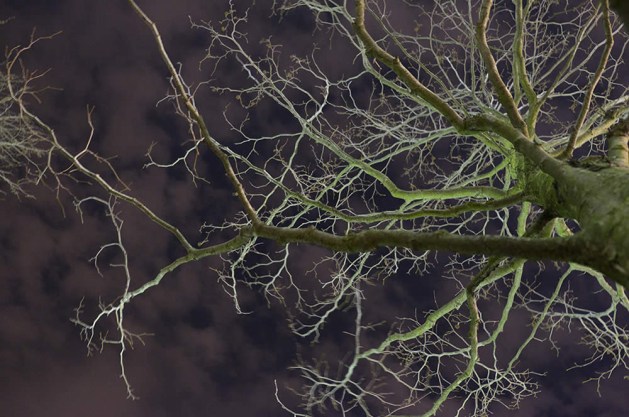 Gueorgui Pinkhassov_La Passione