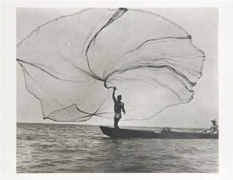 leo-matiz-pavo-real-del-mar-santa-marta,-colombia